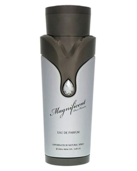 Armaf Magnificent Pour Homme EDP